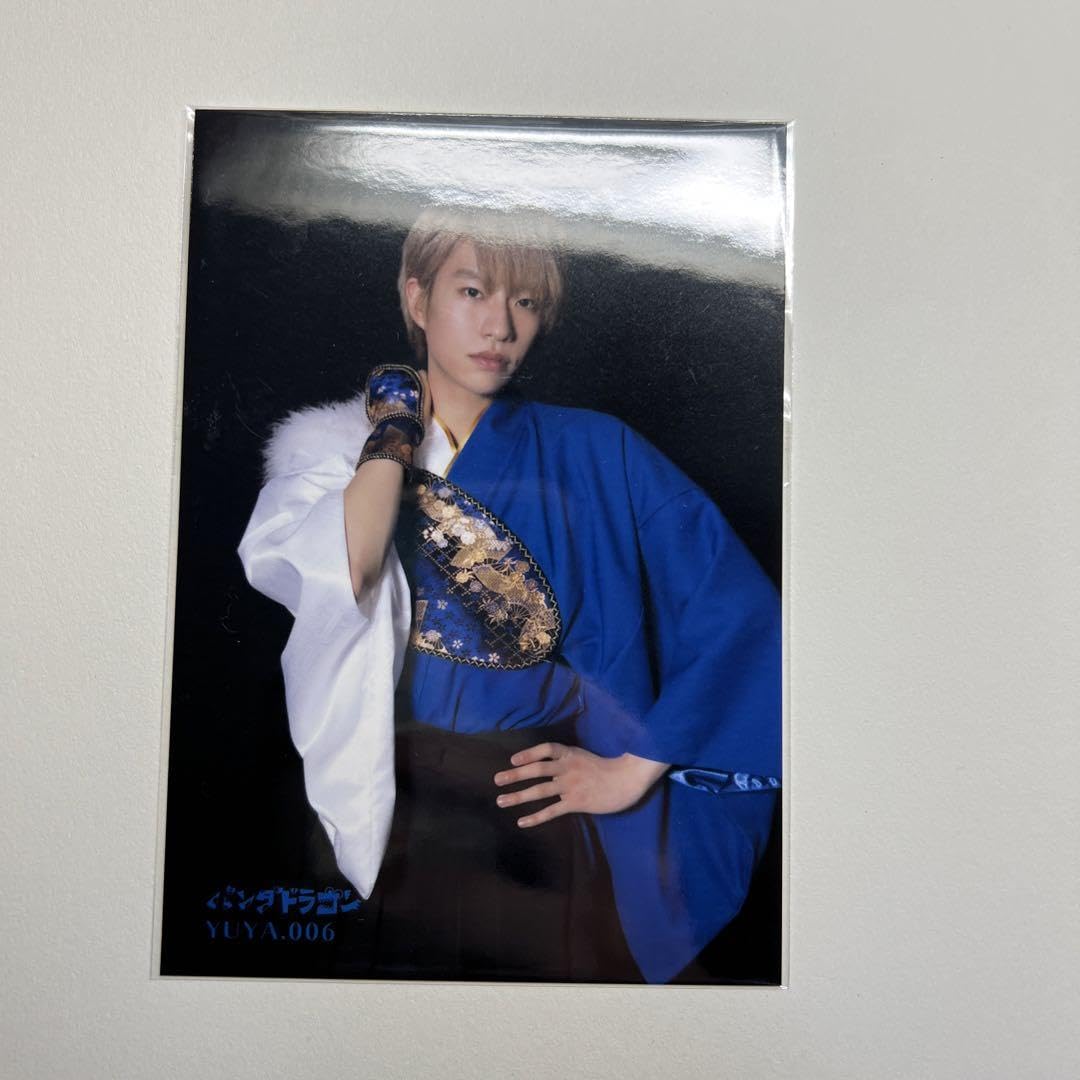 パンダドラゴン たいが グッズ Amazon.co.jp: パンダドラゴン パラゴン ふれんZOO 2L写真 たいが NOYD